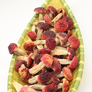 Jamur Himalaya Segar Berkualitas Tinggi, Jamur Merah Korea yang Dapat Dimakan - Product Image 3