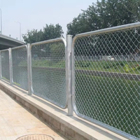 Clôture de sécurité en treillis métallique à mailles losangées revêtue de PVC de haute qualité, antirouille, durable, clôture de stade