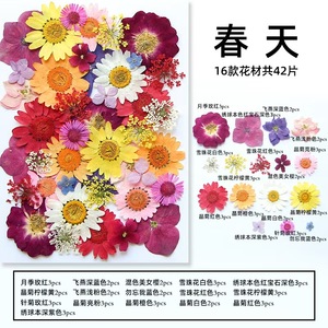 Vente en gros de mini sacs de matériaux de <span class=keywords><strong>fleurs</strong></span> sèches bricolage maquillage Nail Art cadre de téléphone décor vraies <span class=keywords><strong>fleurs</strong></span> pressées séchées naturelles pour résine - Product Image 6