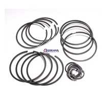 Pièces de rechange pour chargeuse sur pneus RUNMA TD226B 13026703 13022349 13026702, cercle d'engrenage, segment de piston moteur, fer de haute qualité
