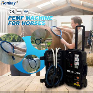 Appareil de stimulation magnétique à double canal le plus vendu pour animaux, soulage la fatigue musculaire, dispositif magnétique PEMF pour usage domestique - Product Image 1