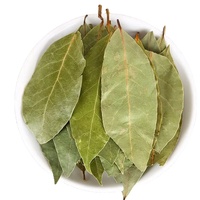 Feuilles de Laurier Séchées Naturelles de Qualité Supérieure, Épices Culinaires en Tranches, Emballage Sous Vide en Vrac pour Assaisonnement Alimentaire, Vente en Gros, Meilleure Qualité