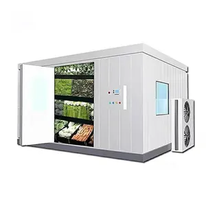 Butcher Cold Room New Style Customizable Frozen Meat Fish Walk In Freezer Cold Room