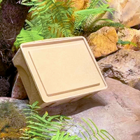 Emballage personnalisé haut de gamme en boîte de papier recyclé, compostable, écologique et biodégradable, pour produits ménagers moulés, portable, en soie