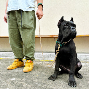 프리미엄 가죽 체인 목줄 세트 대형견용 당김 방지 견고한 목줄 내구성 편안함과 패션 디자인 - Product Image 3