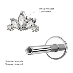 TOPOSH gran oferta <span class=keywords><strong>Labret</strong></span> titanio cuerpo Piercing joyería Marquesa cristal Blaze conjunto ventilador 16G labio anillo hélice pendiente al por mayor - Product Image 2