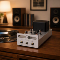 Préamplificateur à tubes professionnel MABLE MS-12B, amplificateur audio haute fidélité, modèle privé fabriqué dans le Guangdong