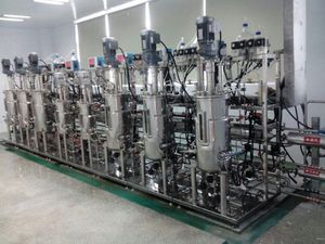 Biorreactor de laboratorio precio barato biorreactor pequeño 20l 50L - Product Image 4