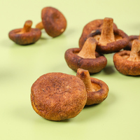Chips de Champiñones Shiitake Fritos al Vacío a Baja Temperatura, Salados, 45g, Certificados Halal, Snacks Vegetales Secos, Saludables y Crujientes