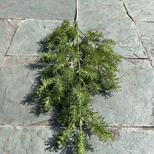 Décor de mariage forêt enchantée verdure fausses <span class=keywords><strong>plantes</strong></span> de plafond suspendues <span class=keywords><strong>plantes</strong></span> suspendues artificielles - Product Image 5