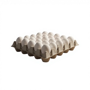 ไข่ไก่สดจากฟาร์ม |   ไข่ไก่เกรดพรีเมียมสำหรับอุตสาหกรรมบริการอาหาร - Product Image 3