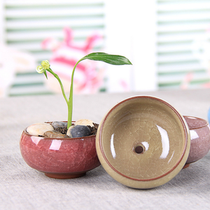 Minimacetas para plantas suculentas AAA273, cerámicas esmaltadas con grietas de hielo, maceta para jardín, hogar, decoración <span class=keywords><strong>Zakka</strong></span> artesanal, maceta de flores - Product Image 1