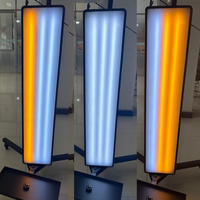 Lampe de détection de bosses PDR en stock usine, vente en gros, avec 6 LED, bande lumineuse et panneau réflecteur pour la détection des bosses et des dommages de grêle