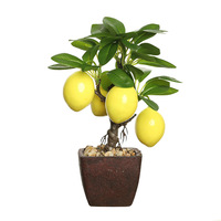 Bonsaï artificiel en plastique, petits objets décoratifs créatifs, décorations florales tendance, plantes vertes 10-30cm pour intérieur