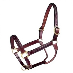 Cabestro de cuero para caballo con diseño trenzado y herrajes de latón para uso ecuestre - Product Image 1