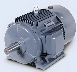 Innomotics 1MB0063 BT4 2P 55KW 400V Trifásico 50Hz de Calidad Superior - Product Image 6