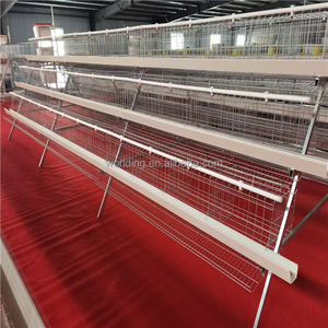 Cage à poules de type 96, adaptée à la ponte automatique, élevage intelligent, adapté aux grandes exploitations agricoles, pas besoin de défécation - Product Image 5