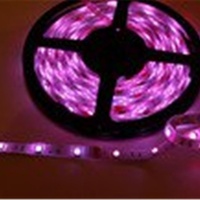 Adreslenebilir Çok Renkli DMX512 SPI Esnek LED Şerit LED Şerit Işıklar