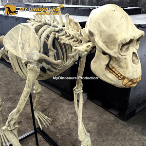 Dino Của Tôi Trang Trí Cuộc Sống Kích Thước Động Vật <span class=keywords><strong>Gorilla</strong></span> <span class=keywords><strong>Skeleton</strong></span> Mô Hình - Product Image 6