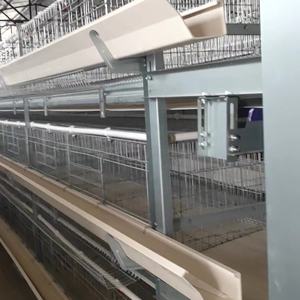 Equipo automático para granja avícola, gallinas ponedoras, jaula <span class=keywords><strong>de</strong></span> batería para pollos a la venta - Product Image 5