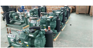 Yüksek kaliteli soğutma sistemleri Bitz kompresör klima kompresörü - Product Image 6