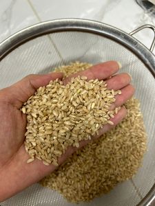 Linda WS 0084989322607 riz brun jasmin moyen Calrose Arroz 1kg 5kg sacs sous vide vente entière doux séché Riz jasmin moyen - Product Image 2