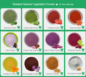 Polvere di pomodoro naturale al 100% all'ingrosso in polvere di pomodoro essiccata Spray sfuso - Product Image 2