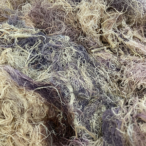 ทำมอสทะเลจากส่วนผสม Eucheuma cottonii มอสทะเลจากฝ้ายธรรมชาติ - Product Image 1