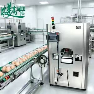 Máquina Automática de Escaneo Visual de Huevos con Módulo de Inspección de Etiquetas para Empaquetado Comercial de Huevos - Product Image 2