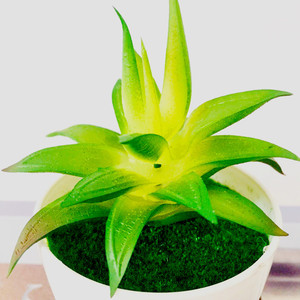Planta Suculenta Artificial Qi Xing en Maceta de 13 cm, PVC Suave, Decoración para el Hogar - Product Image 3