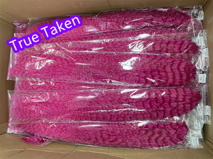 <span class=keywords><strong>Monica</strong></span> onda ariel cheveux de cricket crochet boho brésilien bohème synthétique droite tressage queue de cheval bouclés ariel extensions de cheveux - Product Image 6