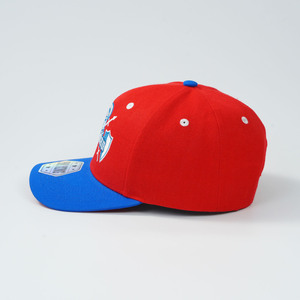Gorra de Béisbol Tricolor con Logotipo Personalizado, Bordado con Patrón de Dólar, Fabricante BSCI para Marcas Urbanas, MOQ 50, Muestra en 3 Días - Product Image 3