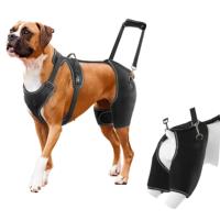 Attelle de genou ACL réglable pour chien avec stabilisateurs latéraux métalliques, support pour pattes arrière, protection et soin des articulations canines