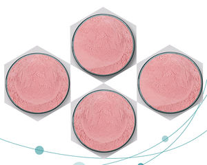 Natuurlijke Vitamine C 17% Vc 25% Poeder Acerola <span class=keywords><strong>Cherry</strong></span> <span class=keywords><strong>Extract</strong></span> - Product Image 6