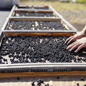 พวงมาลัยประดับรูปดาวและเปลือกหอยทำจากจีน FSH - Product Image 5