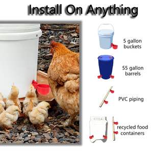 Kit de <span class=keywords><strong>bebedero</strong></span> de pollo automático Premium, 16 Uds., vasos de agua para aves de corral para gallinero, granja y rebaños de patio trasero, instalación rápida y duradera - Product Image 4