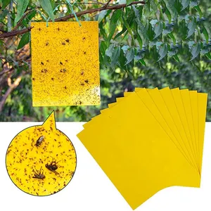 Factory Direct Sales Customized In Various Sizes Yellow Glue Board Plastic Sticky Fruit Fly Trap Insect Bugs Sticker Glue Trap