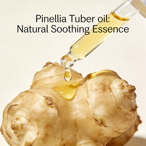 น้ำมันพินเนลเลีย เทนนัตตา ออร์แกนิคจากผู้ผลิต ขายส่ง น้ำมันหอมระเหยพินเนลเลีย เทนนัตตาบริสุทธิ์ 100% จากธรรมชาติ สำหรับอโรมาเธอราพีและผลิตภัณฑ์บำรุงผิว จำหน่ายจำนวนมาก - Product Image 2