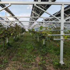 Sistema de Granja Solar Agrícola de 1MW 3MW al por Mayor con Soporte de Suelo Fotovoltaico NS-farm-6 AL6005-T5 - Product Image 3