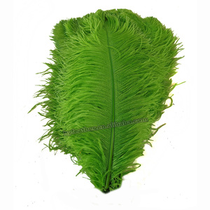 55cm 60cm Floral bricolage artisanat vert citron plume d'autruche Prime Femina pas cher plume d'autruche pour mariage - Product Image 3