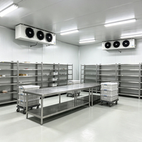 Instalación de Congelador Automático para Exteriores Copeland Emerson con Precio Competitivo para Almacenamiento de Vegetales Congelados
