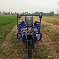 Vente chaude Nouveau Tricycle électrique chinois WANGHU à trois roues Tuk Tuk Cargo 60v Carrosserie ouverte 400kg+ Charge utile 50-70km/h 90km