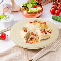 Assiette jetable compostable écologique moderne de marque Neatal en bagasse de canne à sucre pour fêtes et camping – Prix de gros bas