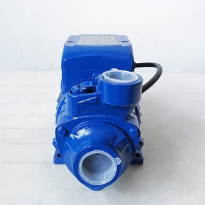 Pompe périphérique en fonte <span class=keywords><strong>Viking</strong></span> 0.5HP 0.37KW QB60 - Product Image 3