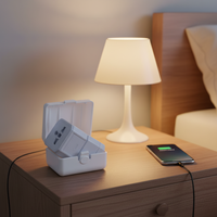 Adaptateur de prise de voyage international, ensemble de 3 pièces, idéal pour les téléphones portables, les chargeurs de batterie, les ordinateurs portables, pour fonctionner dans la plupart des pays