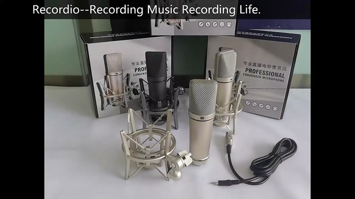 マイク sE Electronicsのコンデンサーマイクパック、X1 S VOCAL PACKの