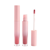 Rouge à lèvres liquide minéral mat haute pigmentation, waterproof, longue tenue, fin, effet brumeux, créatif, doux, naturel, brillant, gloss à lèvres, marque privée
