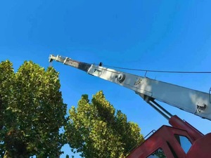 יד שנייה 25 טון tyre מנוף מותג העליון <span class=keywords><strong>tadano</strong></span> 25t בשימוש שטח קשה קשה עשוי יפן במצב טוב - Product Image 5