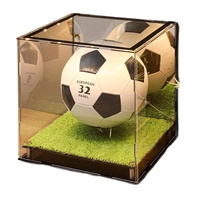 Boîte de présentation de ballons de football en acrylique Art Déco personnalisable, haute transparence, avec base en gazon synthétique, pour collectionneurs de ballons signés, rangement de bureau