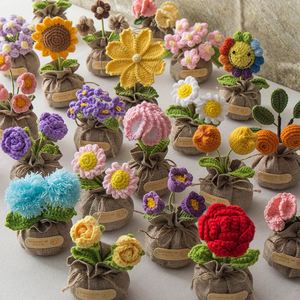 Wholesale Custom Handmade Crochet Flower Pot Mini Knitted Potted Plant with Burlap <b>Bag</b> for Home Decor - Product Image 5